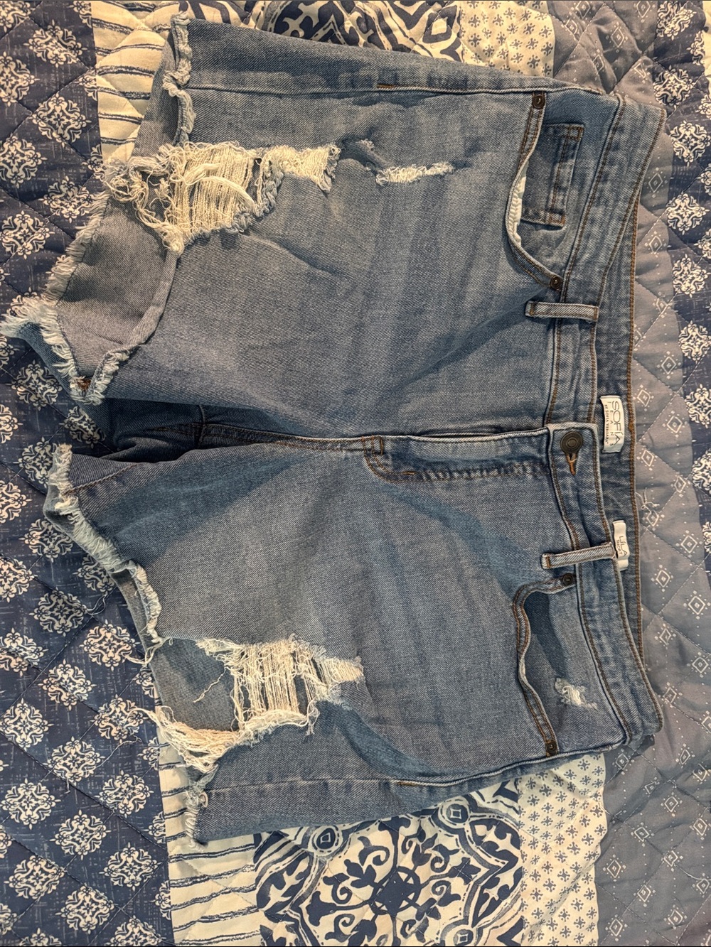 Sofia Vergara Jean Shorts